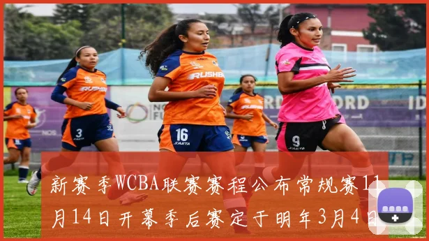 新赛季WCBA联赛赛程公布常规赛11月14日开幕季后赛定于明年3月4日启动